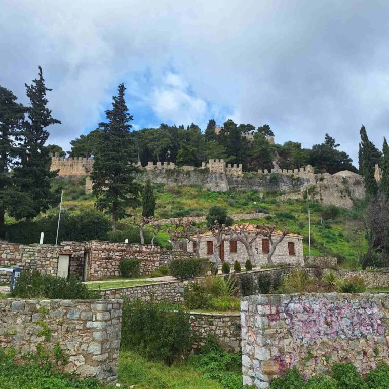 619634685 26108620405411723 450972587087055048 n